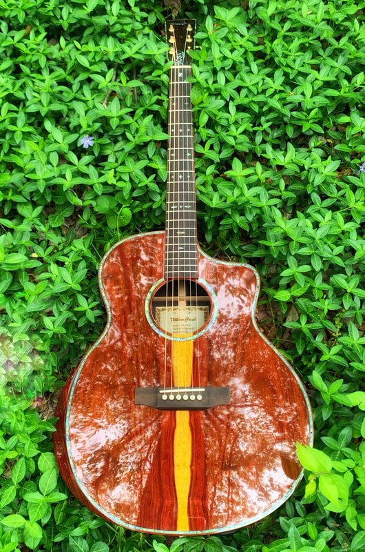 Denny Jiosa Willow Creek Guitar